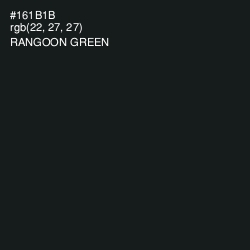 #161B1B - Rangoon Green Color Image